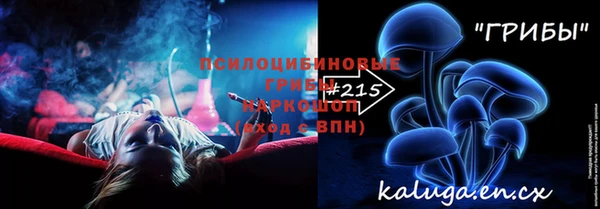 apvp Алексин