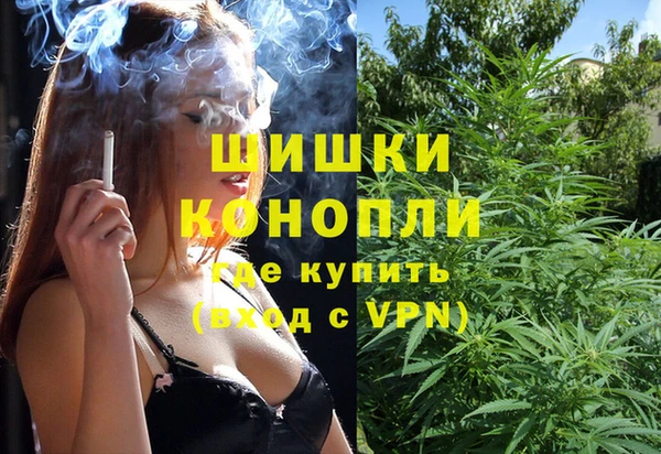 spice Алзамай