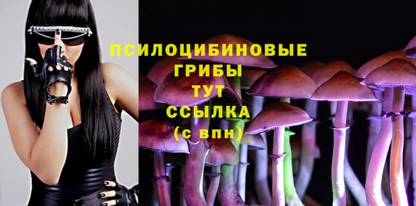 молекула духа Покров