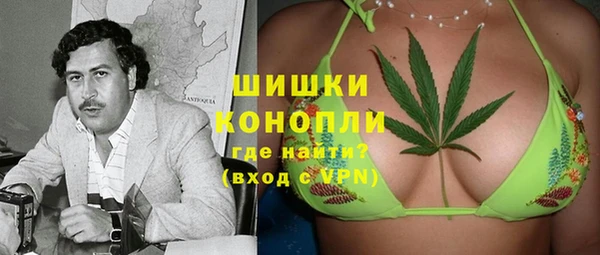 apvp Алексин