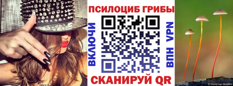 Галлюциногенные грибы Psilocybe  Кудрово 